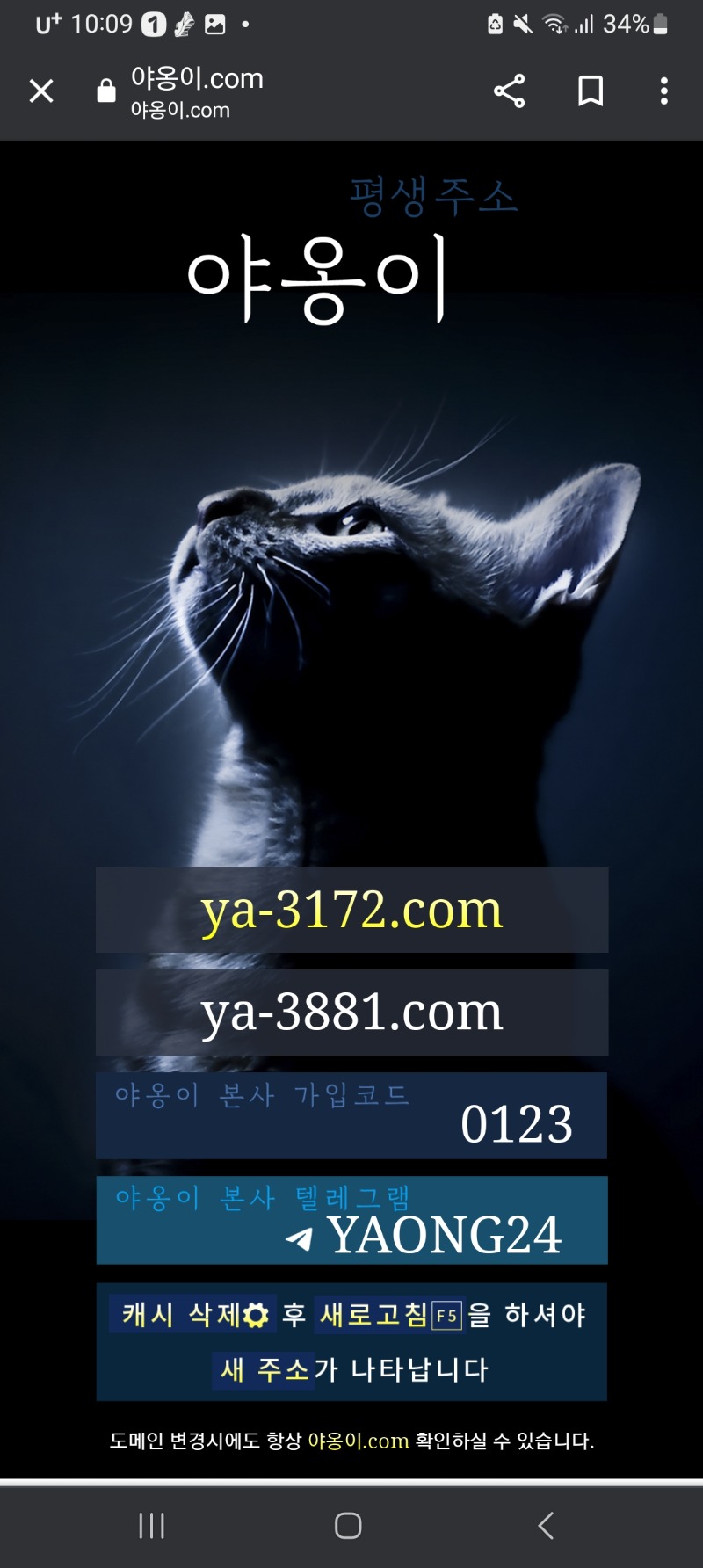 야옹이 짭이 있습니다