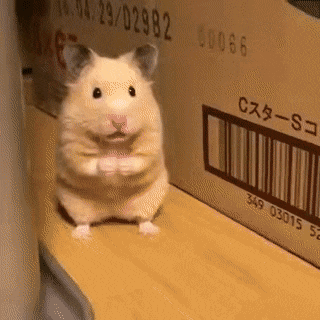 0bfec1824f8dfd11fd4c791863ff179a_a7LmVIRq_524854edd513b992185592d5a40454551cdfcd68.gif